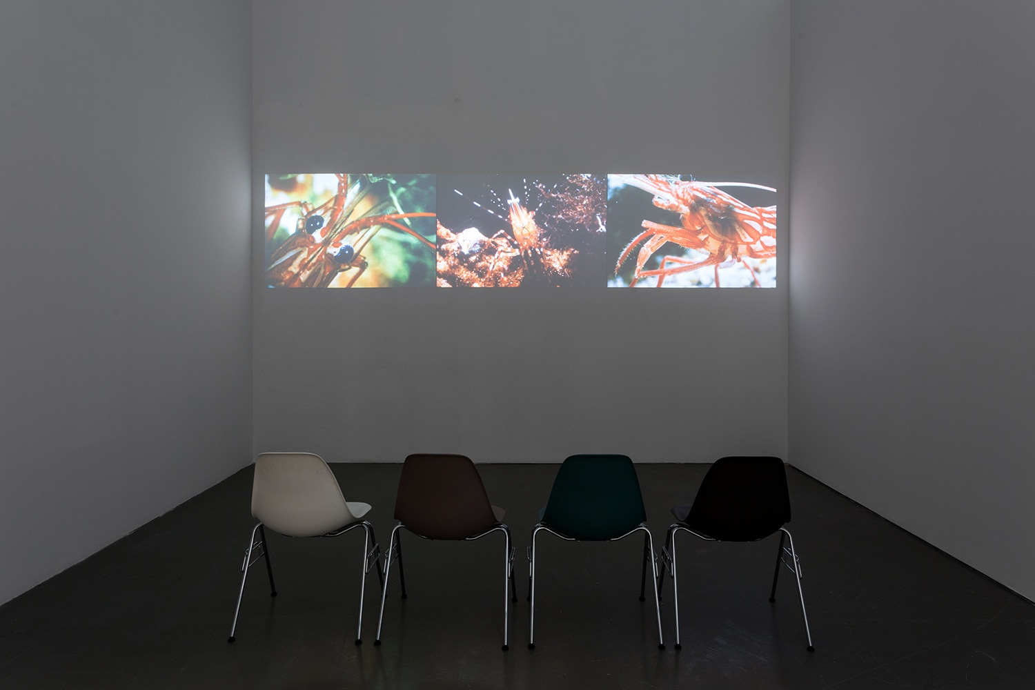Charles & Ray Eames