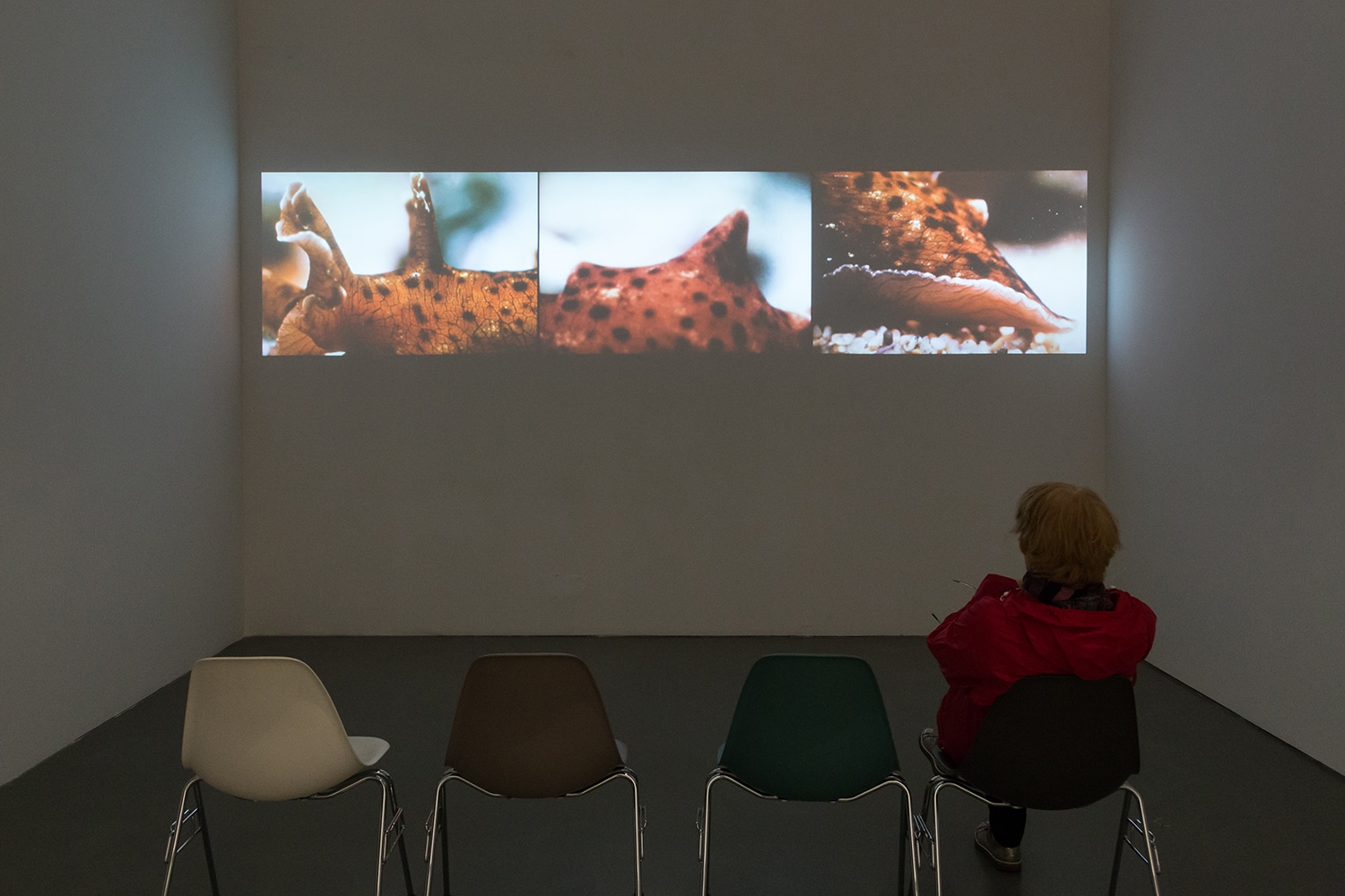 Charles & Ray Eames