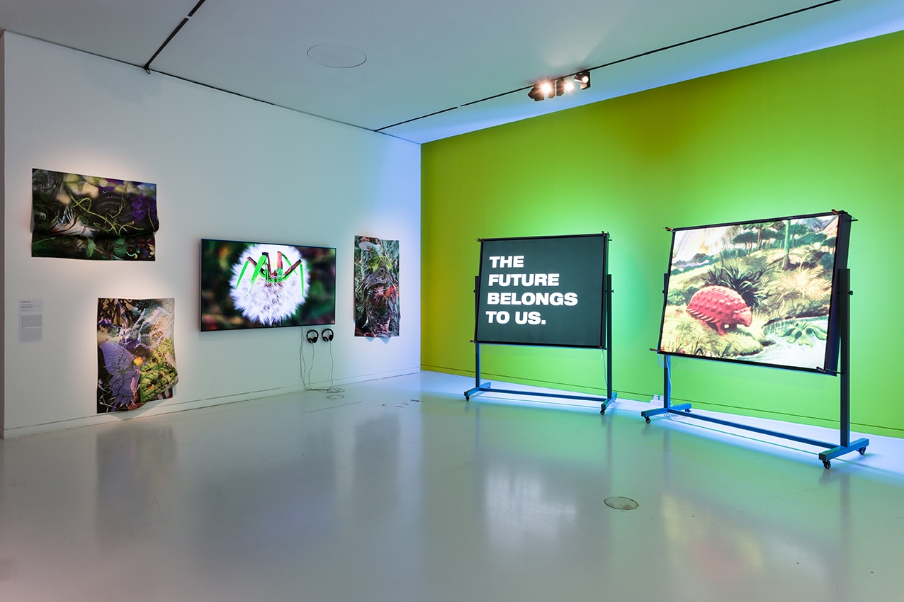Entrance view of Eco-Visionaries at MAAT