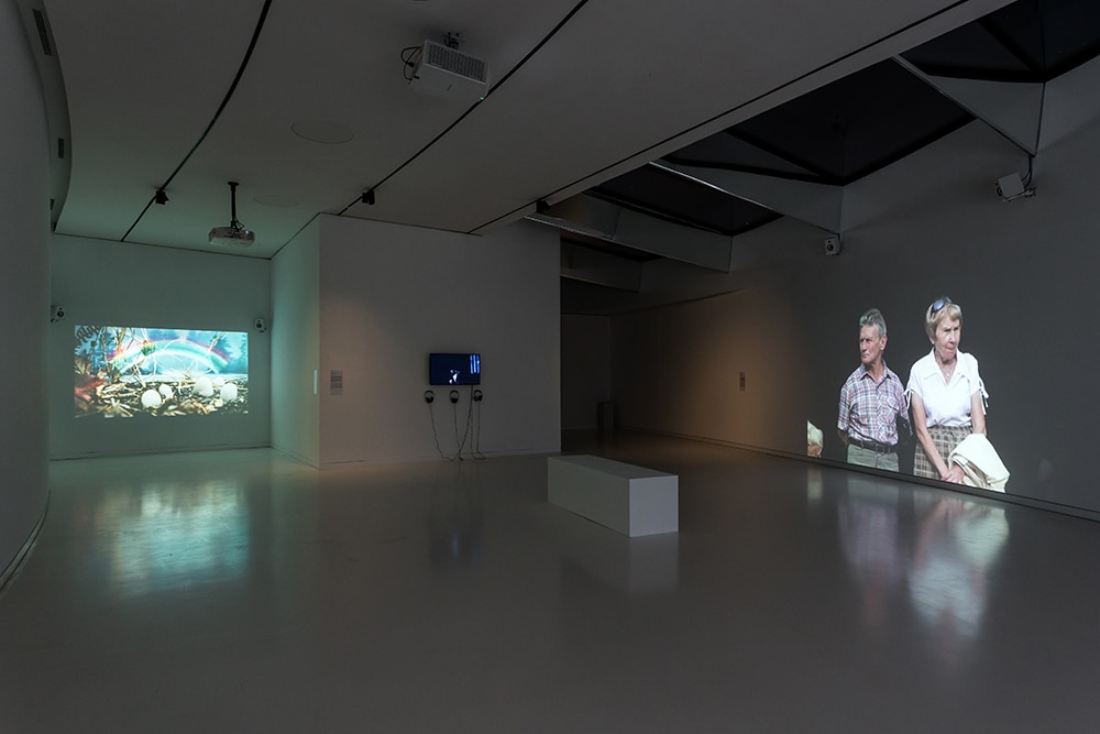 Projection exhibition view